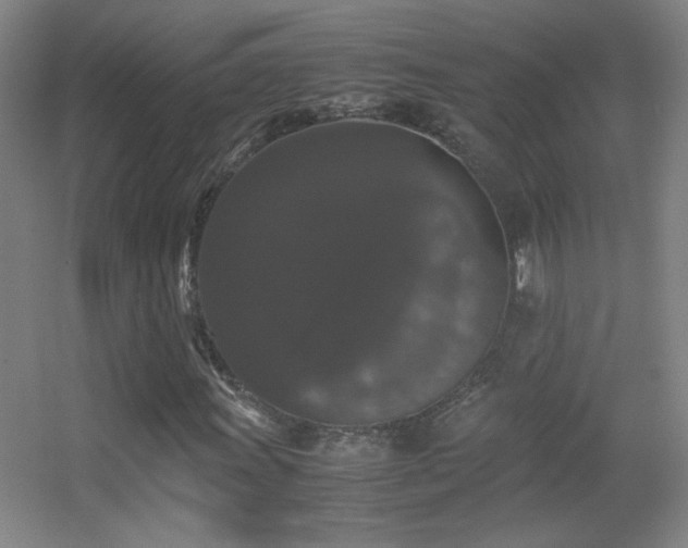 X0000055511011200508121011
