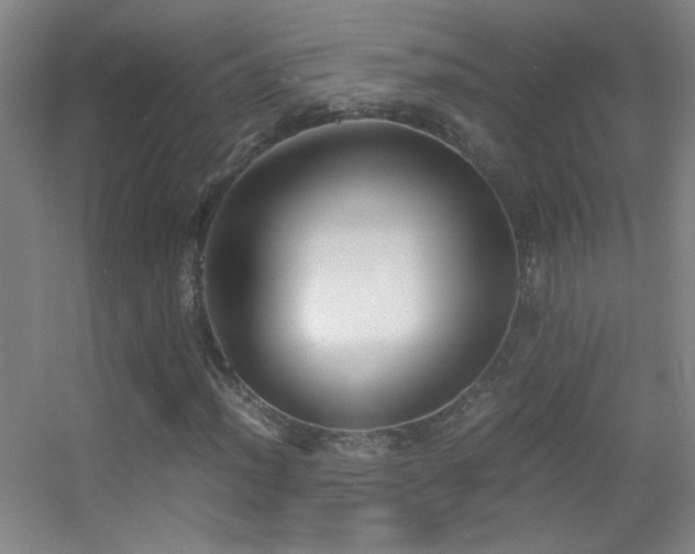 X0000055511012200508121011