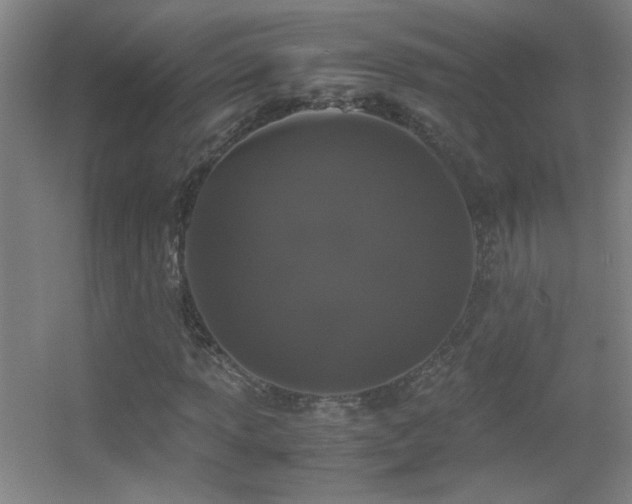 X0000055511013200508121011