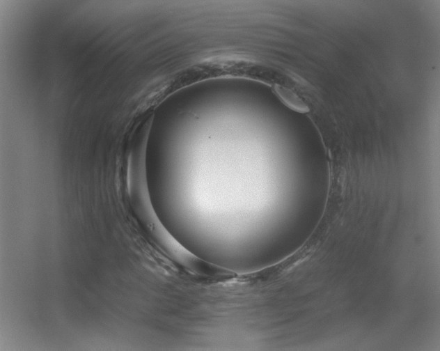 X0000055511014200508121011