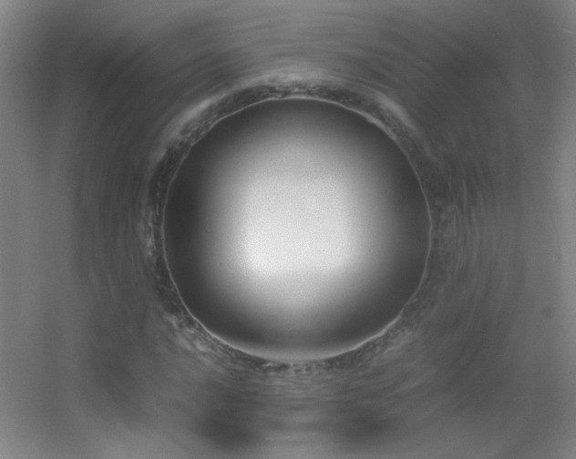 X0000055511016200508121011