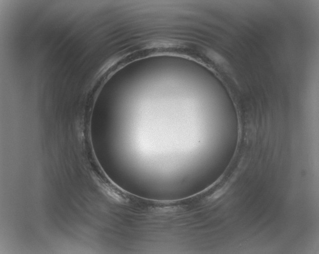 X0000055511017200508121011