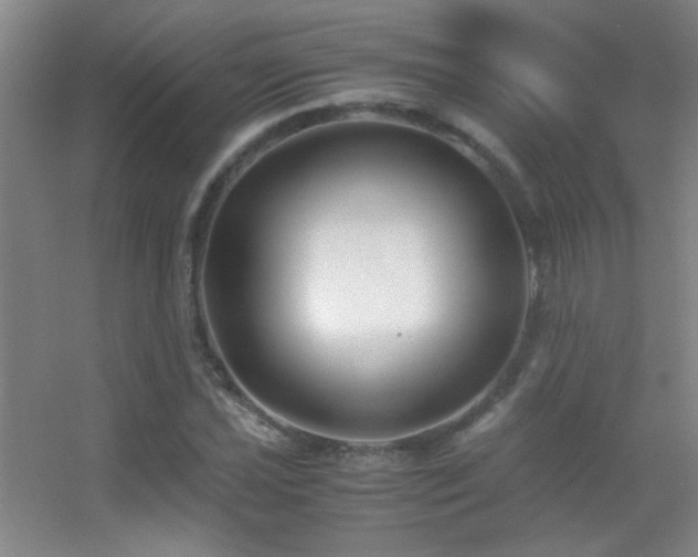 X0000055511021200508121011