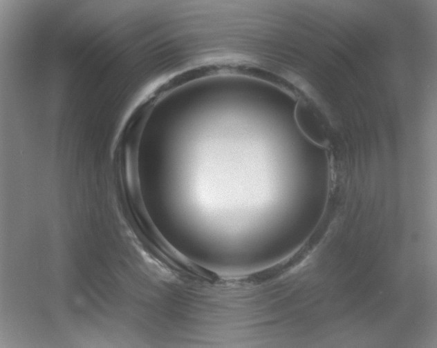 X0000055511022200508121011