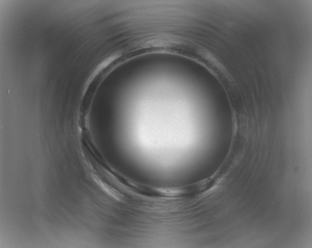 X0000055511026200508121011