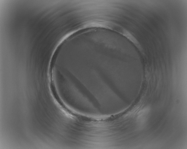 X0000055511028200508121011