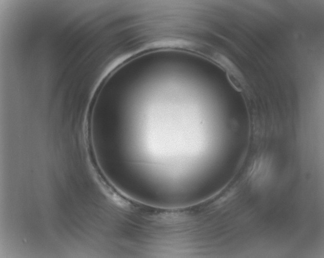 X0000055511044200508121012