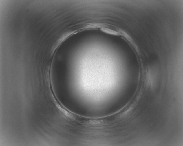 X0000055511049200508121012