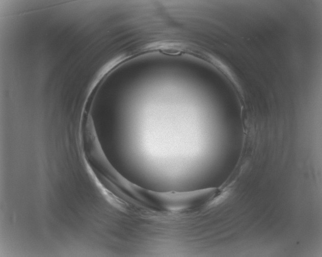 X0000055511050200508121012