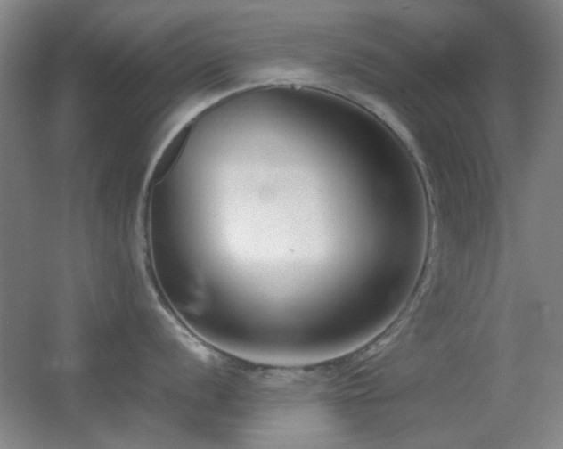 X0000055511056200508121012