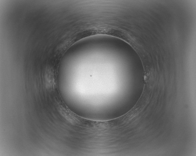 X0000055511058200508121011