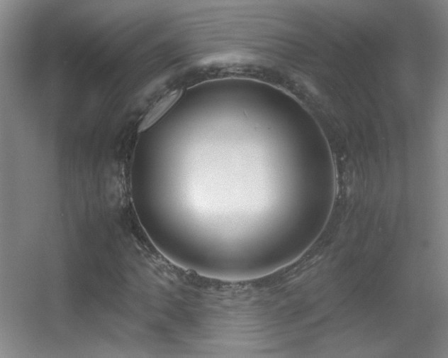 X0000055511062200508121011