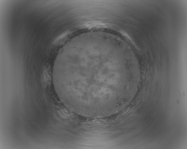 X0000055511063200508121011