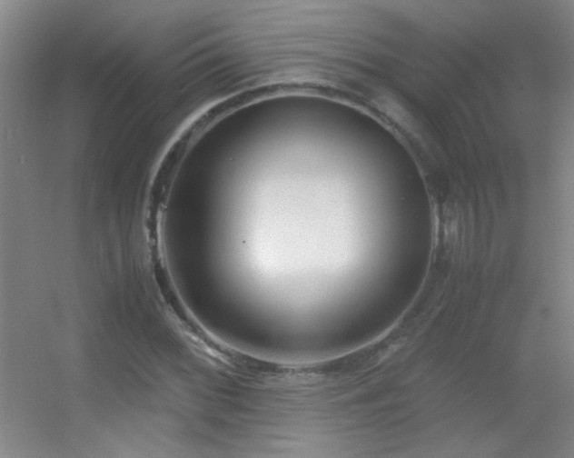 X0000055511068200508121011