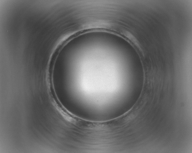 X0000055511072200508121011