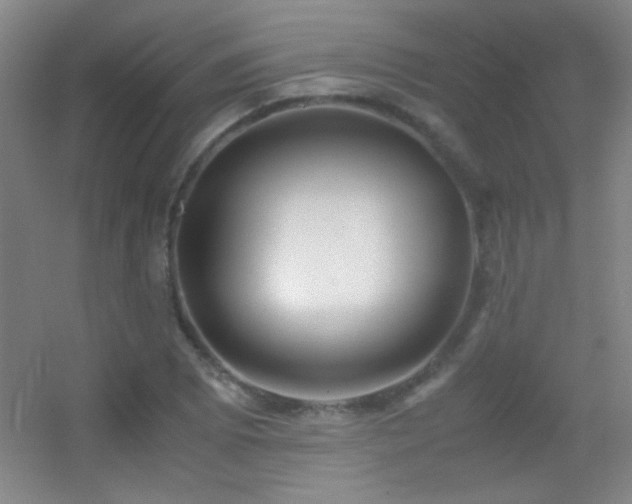 X0000055511073200508121011