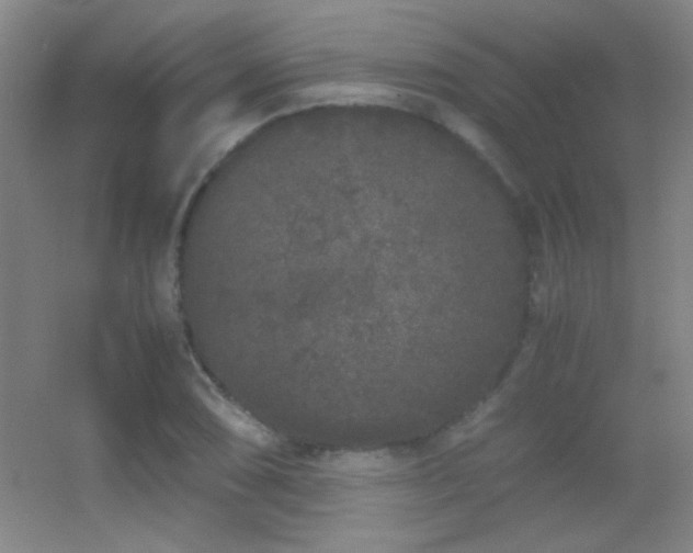 X0000055511074200508121011