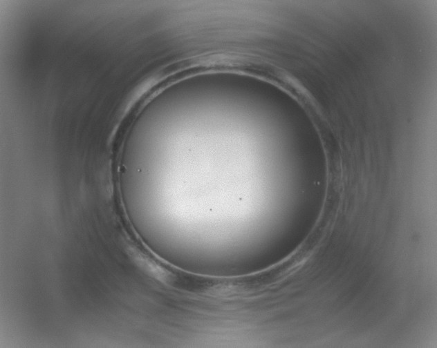 X0000055511075200508121011