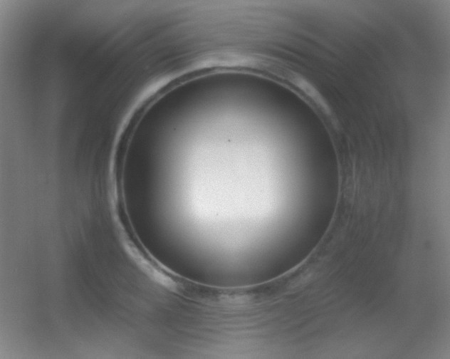 X0000055511080200508121011