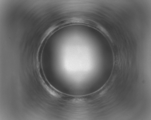 X0000055511082200508121011