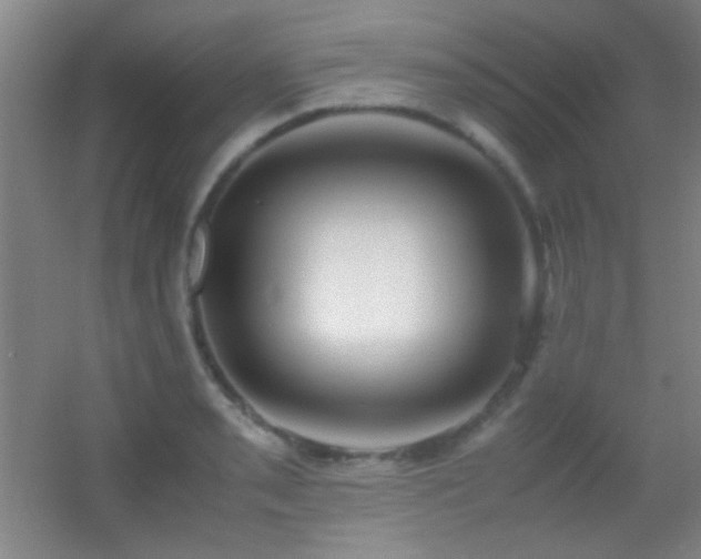 X0000055511085200508121011