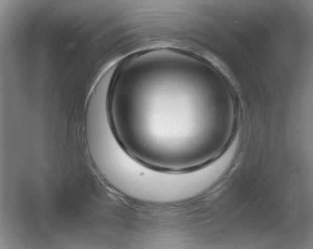 X0000055511097200508121010