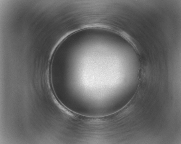 X0000055511100200508121010