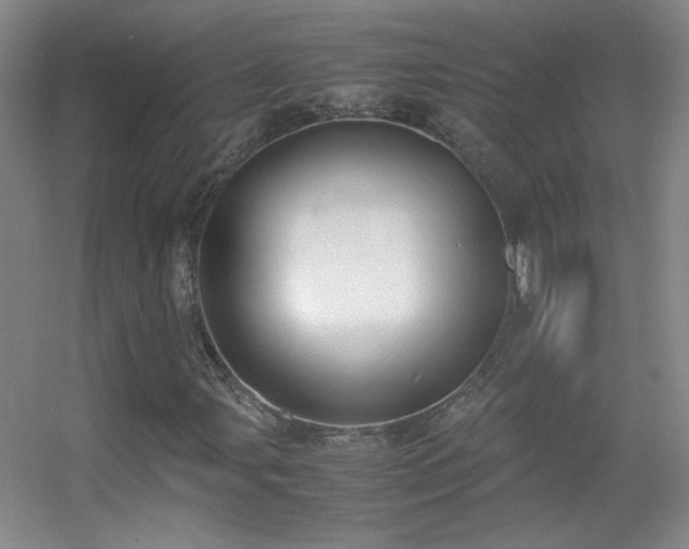 X0000055511107200508121009
