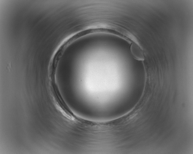 X0000055511116200508121010