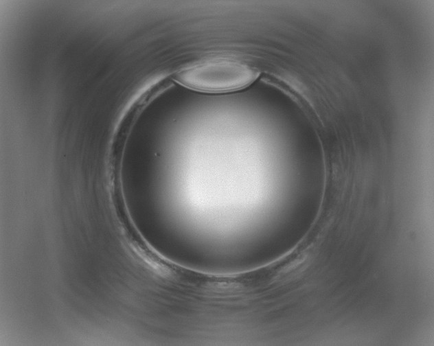 X0000055511119200508121010