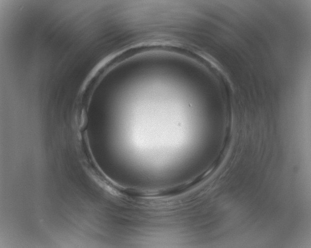 X0000055511120200508121010