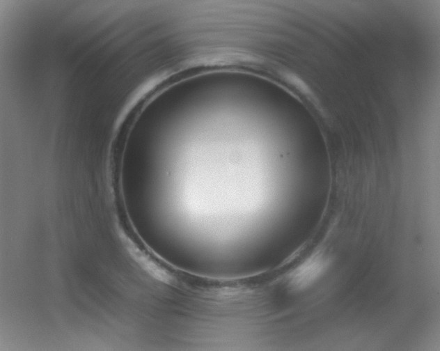 X0000055511122200508121010