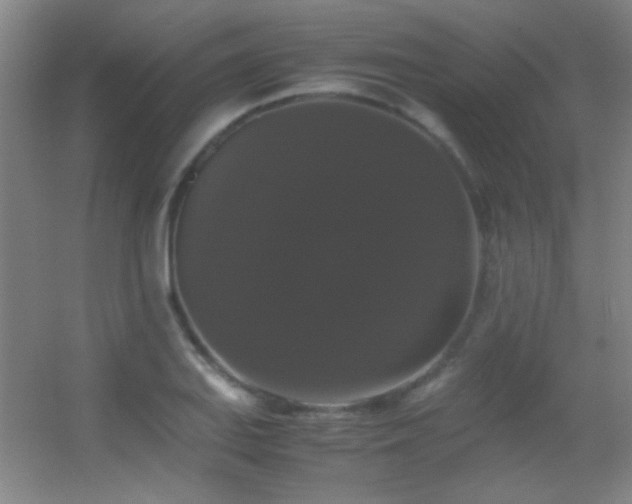 X0000055511127200508121010