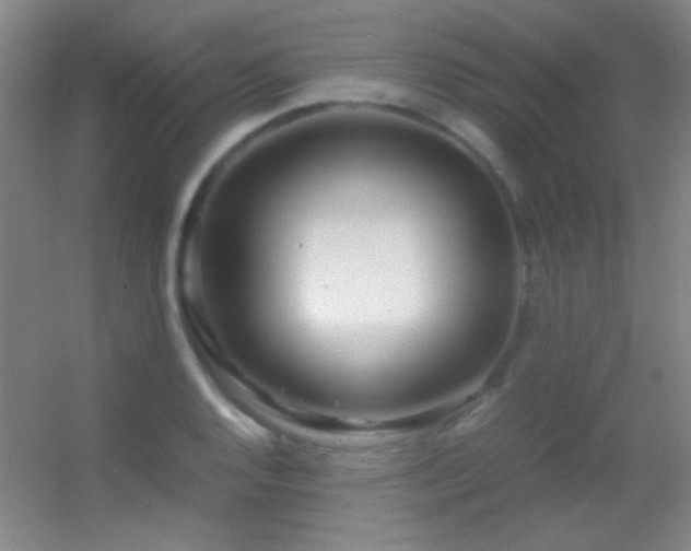 X0000055511128200508121010