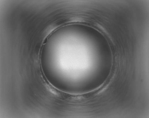 X0000055511129200508121010