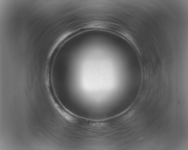 X0000055511131200508121010