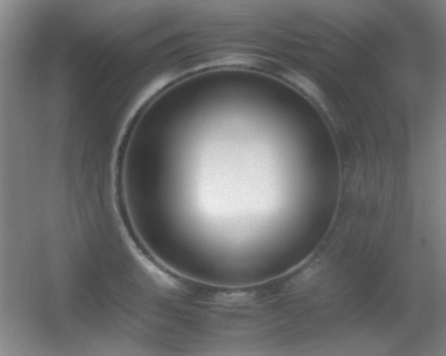 X0000055511135200508121010