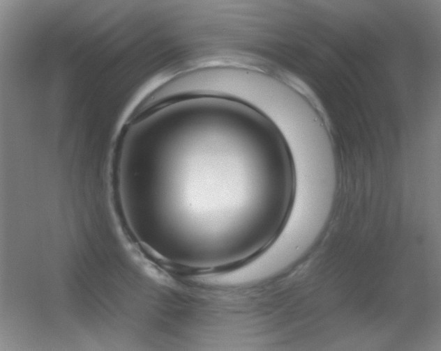 X0000055511138200508121010