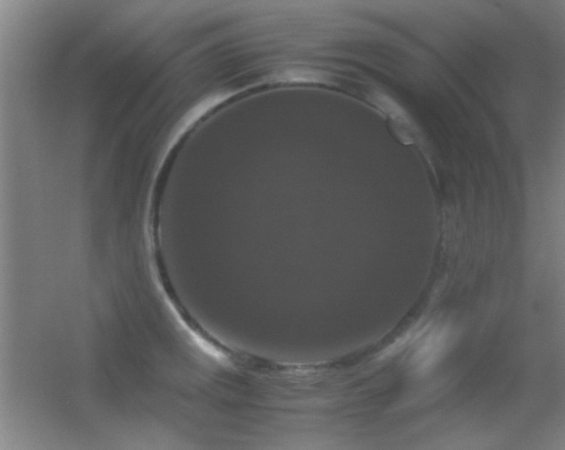 X0000055511141200508121010