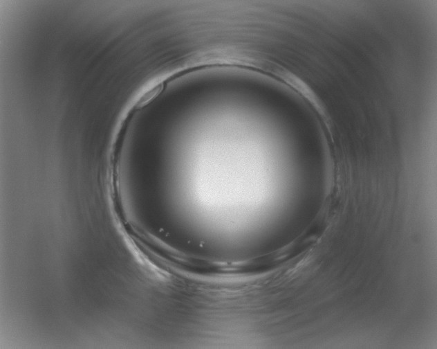 X0000055511144200508121010