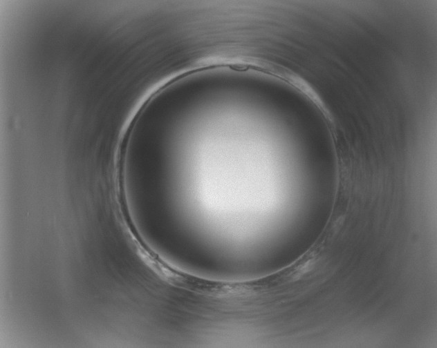 X0000055511148200508121010