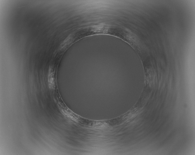 X0000055511154200508121009
