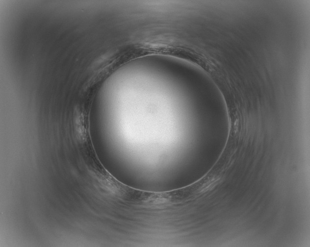 X0000055511156200508121009
