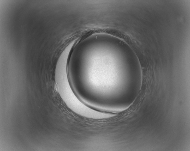 X0000055511157200508121009