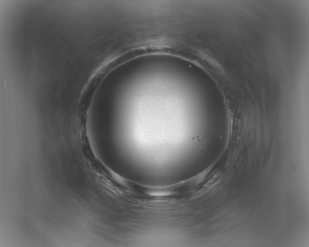 X0000055511160200508121009