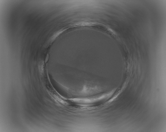 X0000055511161200508121009