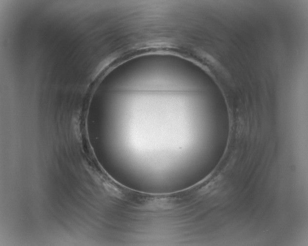 X0000055511162200508121009