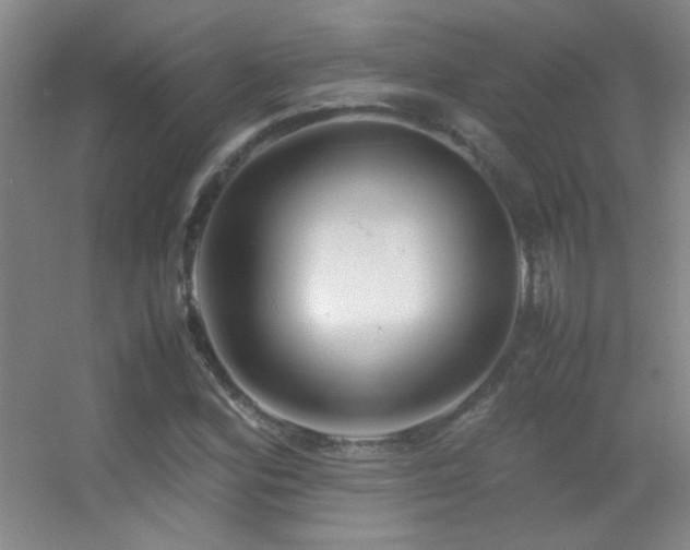 X0000055511164200508121009
