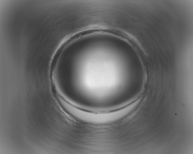 X0000055511168200508121009