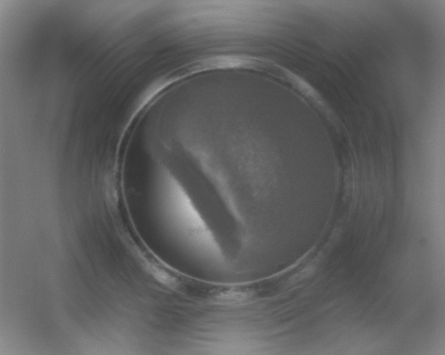 X0000055511178200508121009